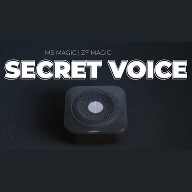 Secret Voice